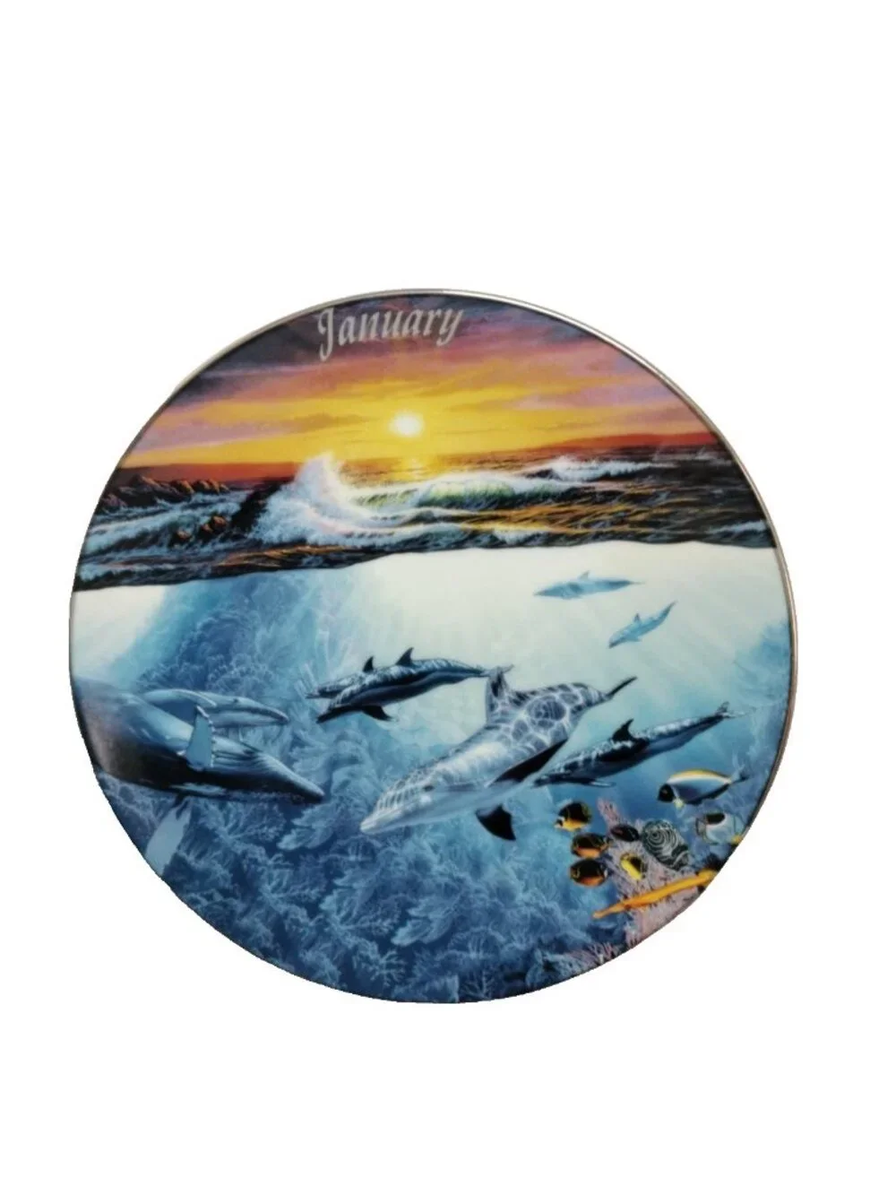3 Collectors Dolphin Plates By Bradford Exchange Numberd 8 1/2